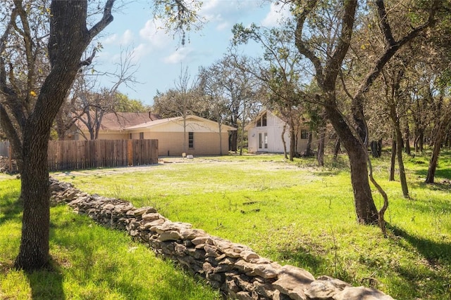 305 Reimer Ave, San Marcos, TX 78666 - view of yard