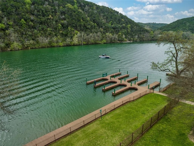 12029 Portobella Dr, Austin, TX 78732 - dock area featuring a water and mountain view and a forest view