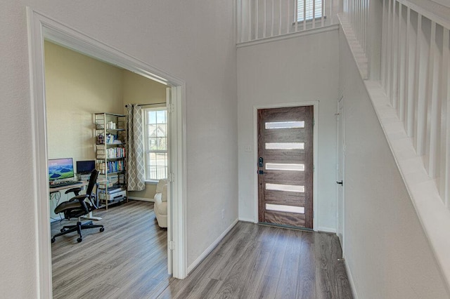 331 Oleander Loop, Buda, TX 78610 - photo 12