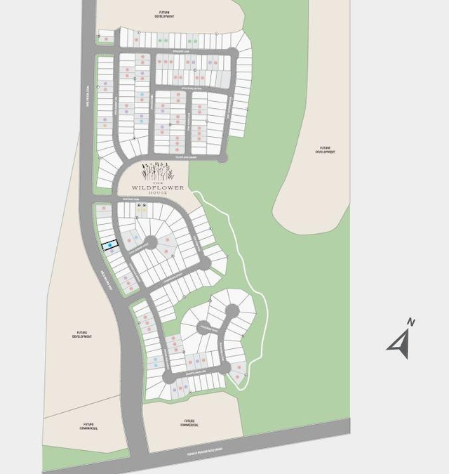 309 Golden Sage Ave, Georgetown, TX 78633 - map / location