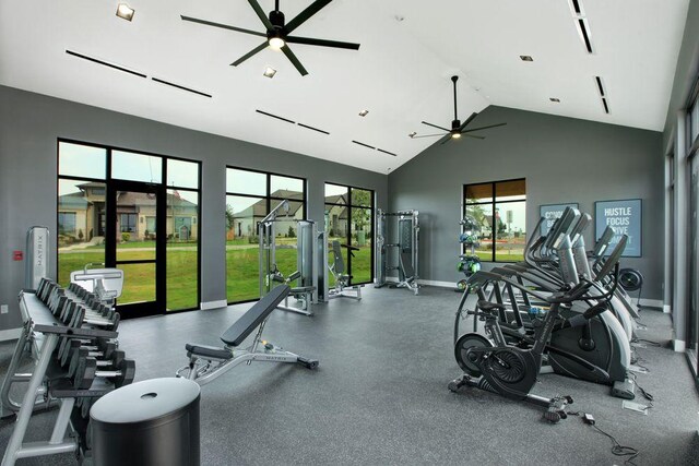309 Golden Sage Ave, Georgetown, TX 78633 - exercise room featuring a ceiling fan and high vaulted ceiling