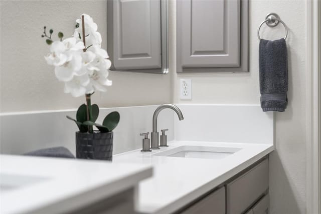 2535 Crenshaw Dr, Round Rock, TX 78664 - bathroom view of vanity