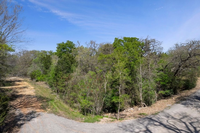 102AND106 Kauloo Ct, Bastrop, TX 78602