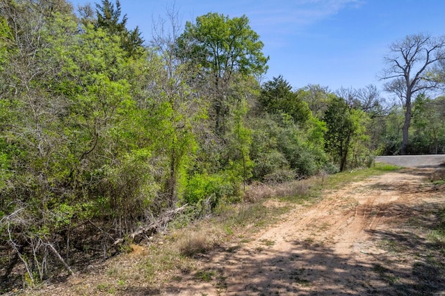 102AND106 Kauloo Ct, Bastrop, TX 78602