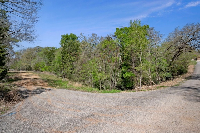 102AND106 Kauloo Ct, Bastrop, TX 78602