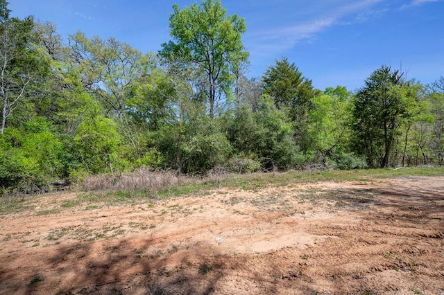 102AND106 Kauloo Ct, Bastrop, TX 78602