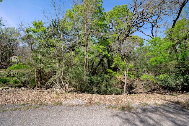 102AND106 Kauloo Ct, Bastrop, TX 78602