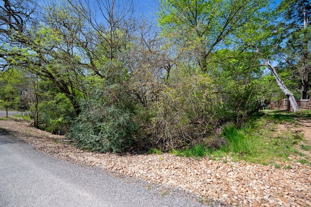 102AND106 Kauloo Ct, Bastrop, TX 78602