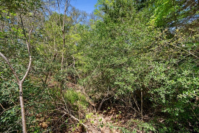 102AND106 Kauloo Ct, Bastrop, TX 78602