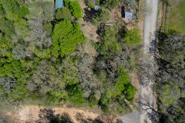 102 Kauloo Ct, Bastrop, TX 78602 - photo 6