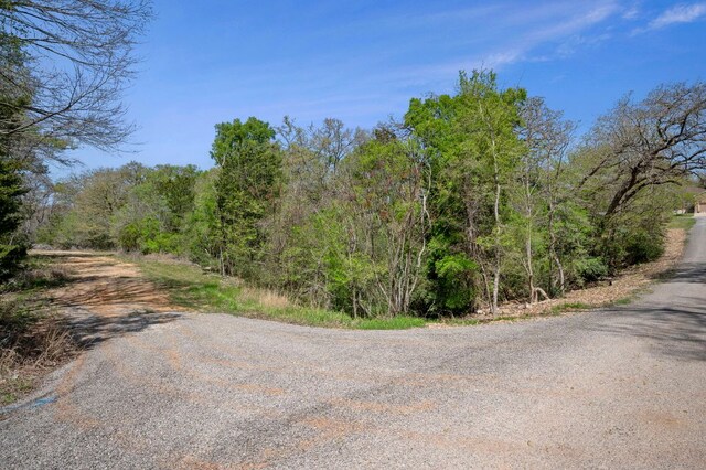 102 Kauloo Ct, Bastrop, TX 78602 - photo 13