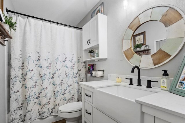bathroom featuring toilet and vanity