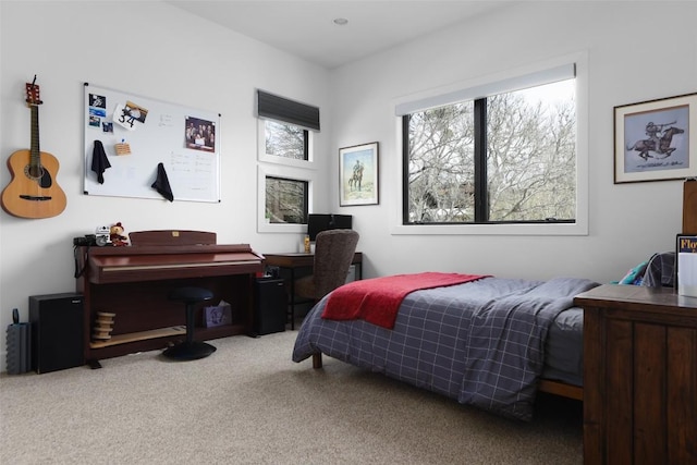 4704 Timberline Dr, Austin, TX 78746 - carpeted bedroom with a desk
