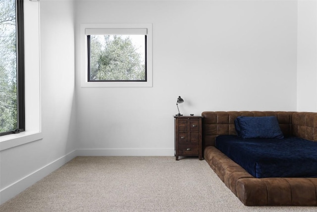 4704 Timberline Dr, Austin, TX 78746 - carpeted bedroom with multiple windows and baseboards