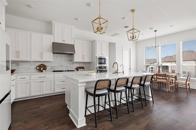 1005 Trevi Fontana, Leander, TX 78641 - kitchen with appliances with stainless steel finishes, under cabinet range hood, dark wood finished floors, decorative backsplash, and light countertops