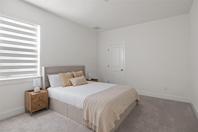 1005 Trevi Fontana, Leander, TX 78641 - bedroom featuring carpet