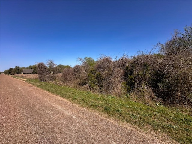 100 Paia Ln, Bastrop, TX 78602 - photo 3