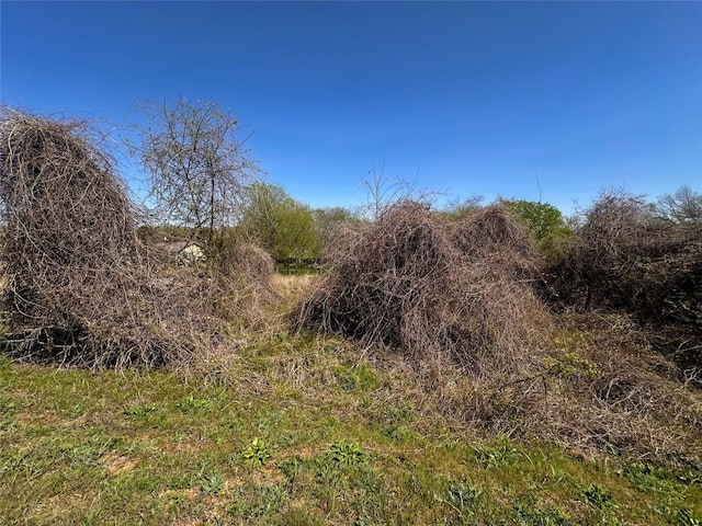 100 Paia Ln, Bastrop, TX 78602 - photo 5