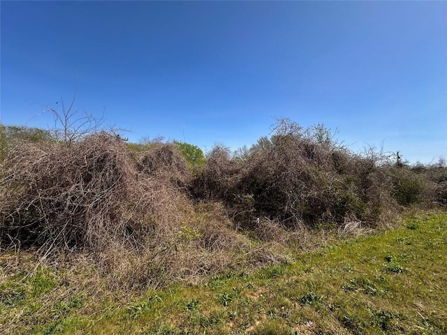 100 Paia Ln, Bastrop, TX 78602 - photo 13