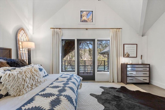 1905 Big Horn Dr, Austin, TX 78734 - bedroom featuring high vaulted ceiling and baseboards