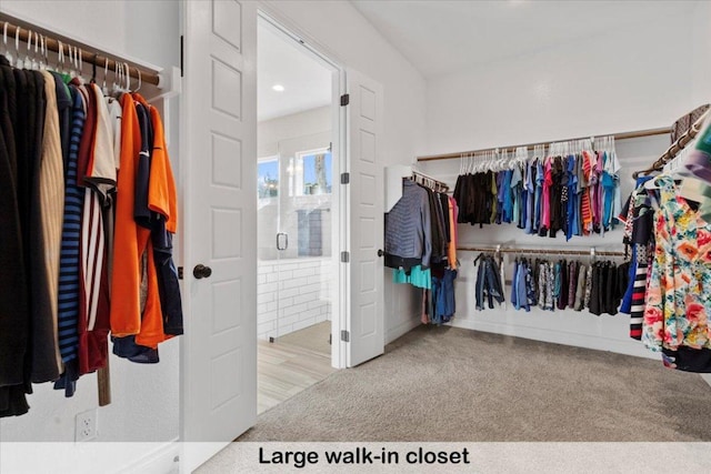 145 Gaston Dr, Bastrop, TX 78602 - spacious closet featuring carpet