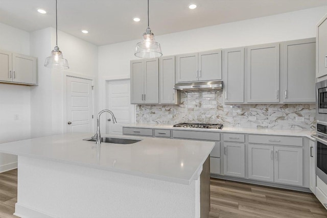 1405 S Brook Dr, Leander, TX 78641 - kitchen with under cabinet range hood, stainless steel appliances, wood finished floors, decorative backsplash, and light countertops