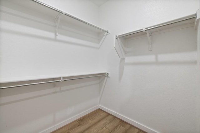 spacious closet with light wood-style flooring