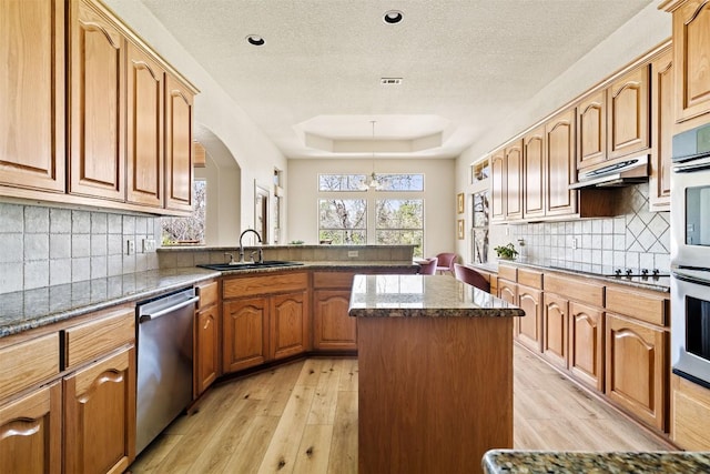 kitchen with stainless steel appliances, light wood-style flooring, a peninsula, under cabinet range hood, and a raised ceiling