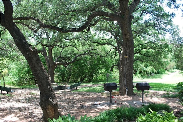 12166 Metric Blvd Unit 340, Austin, TX 78758 - photo 27