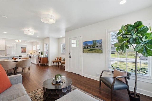 1213 S Church St, Georgetown, TX 78626 - living room with baseboards, dark wood-style flooring, and recessed lighting