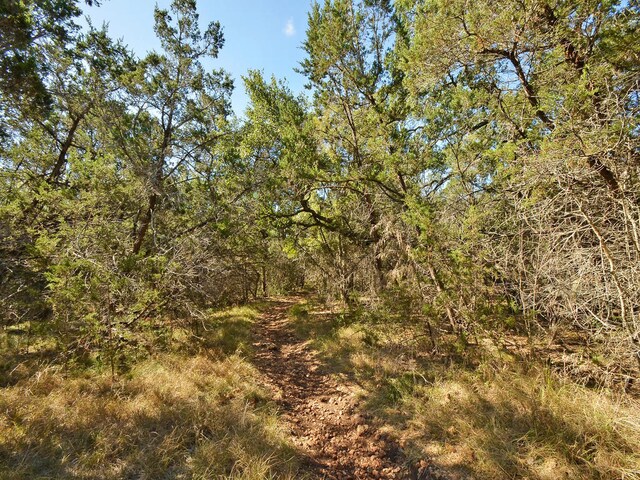 4717 Eagle Feather Dr, Austin, TX 78735 - photo 39