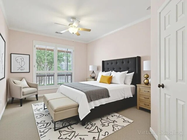 4717 Eagle Feather Dr, Austin, TX 78735 - photo 13