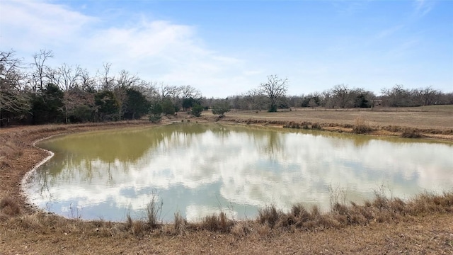 N/A County Road 481, Thrall, TX 76578 - photo 1