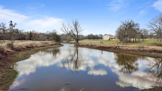 N/A County Road 481, Thrall, TX 76578 - photo 4