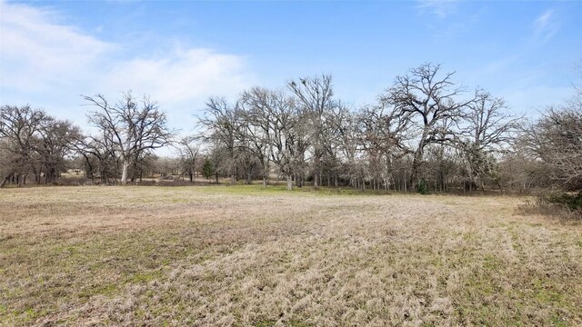 N/A County Road 481, Thrall, TX 76578 - photo 7