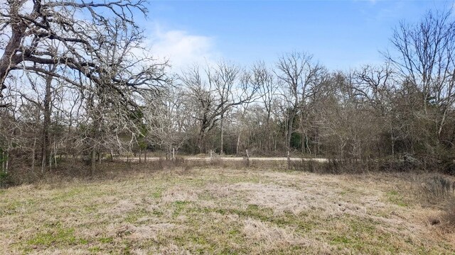 N/A County Road 481, Thrall, TX 76578 - photo 8