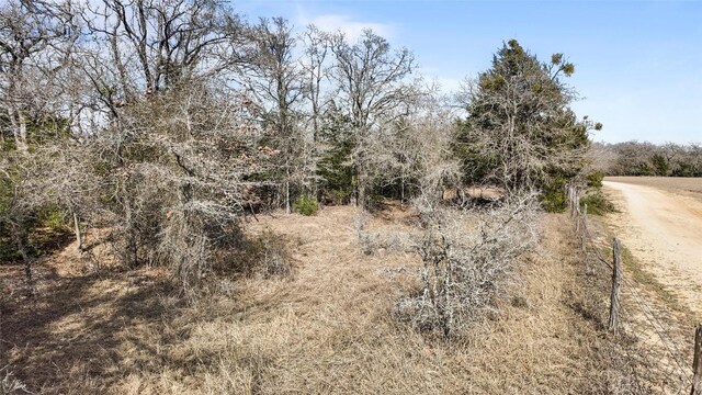 N/A County Road 481, Thrall, TX 76578 - photo 9