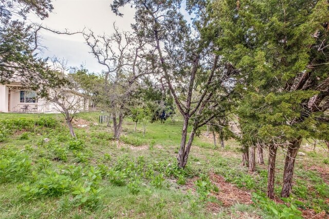 18510 Champions Cir, Lago Vista, TX 78645 - photo 6