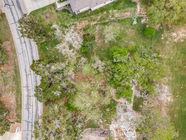 18510 Champions Cir, Lago Vista, TX 78645 - photo 13