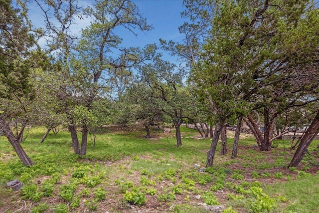 18510 Champions Cir, Lago Vista, TX 78645 - photo 19