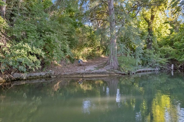 1002 Arroweye Trl, Austin, TX 78733 - water view featuring a heavily wooded area