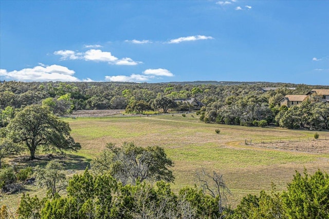 343 Pug Rippy, Dripping Springs, TX 78620 - photo 2
