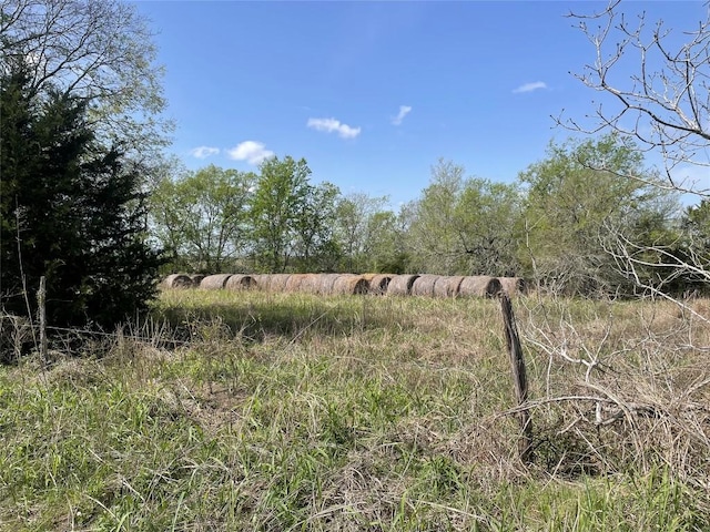 TBD Fm 2238, Schulenburg, TX 78956 - photo 5