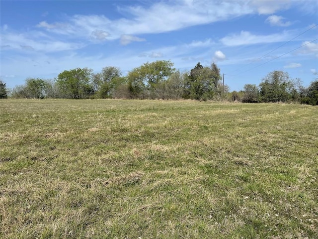 TBD Fm 2238, Schulenburg, TX 78956 - photo 6