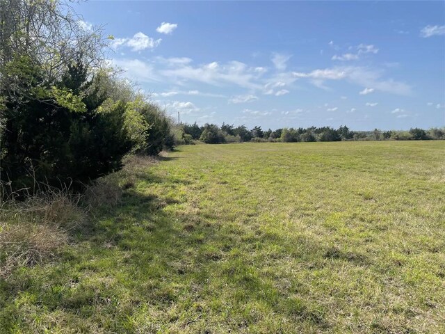 TBD Fm 2238, Schulenburg, TX 78956 - photo 7