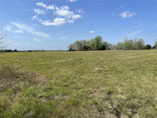 TBD Fm 2238, Schulenburg, TX 78956 - photo 8