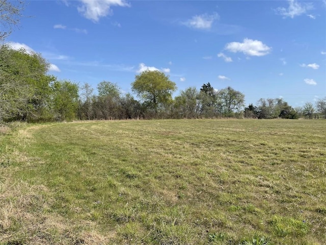 TBD Fm 2238, Schulenburg, TX 78956 - photo 9