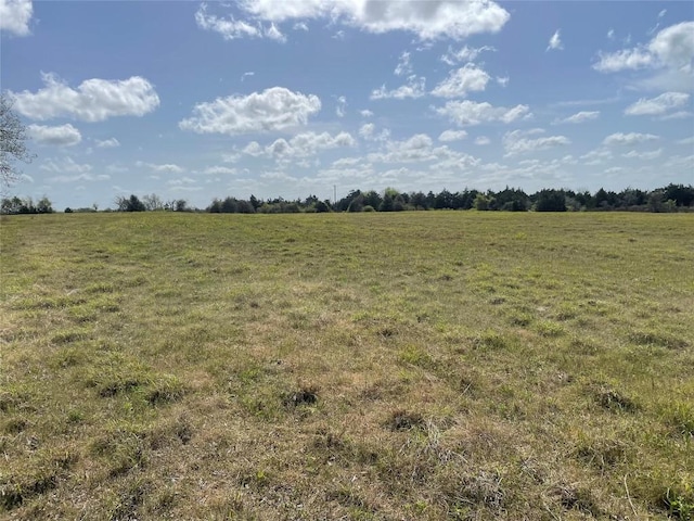 TBD Fm 2238, Schulenburg, TX 78956 - photo 11