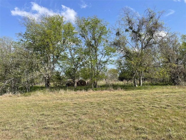 TBD Fm 2238, Schulenburg, TX 78956 - photo 13