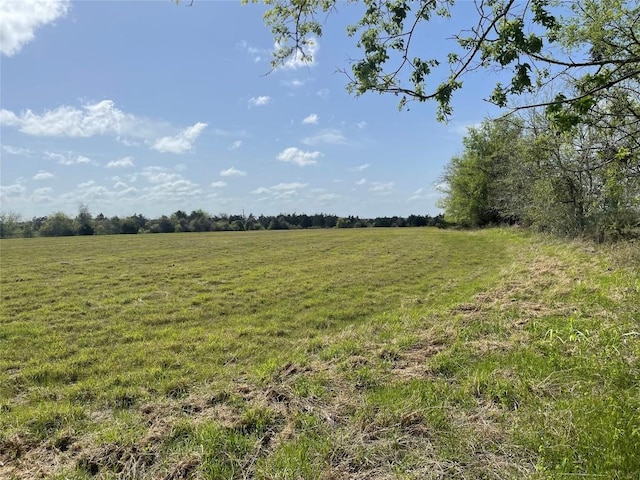 TBD Fm 2238, Schulenburg, TX 78956 - photo 12